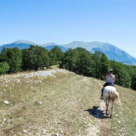 Holiday Via Cese - 2 *